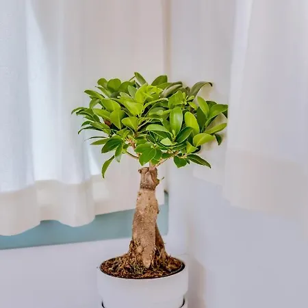 Mulubinba Seahouse Botel Olhão