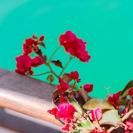 Mulubinba Seahouse Hotel en barco *